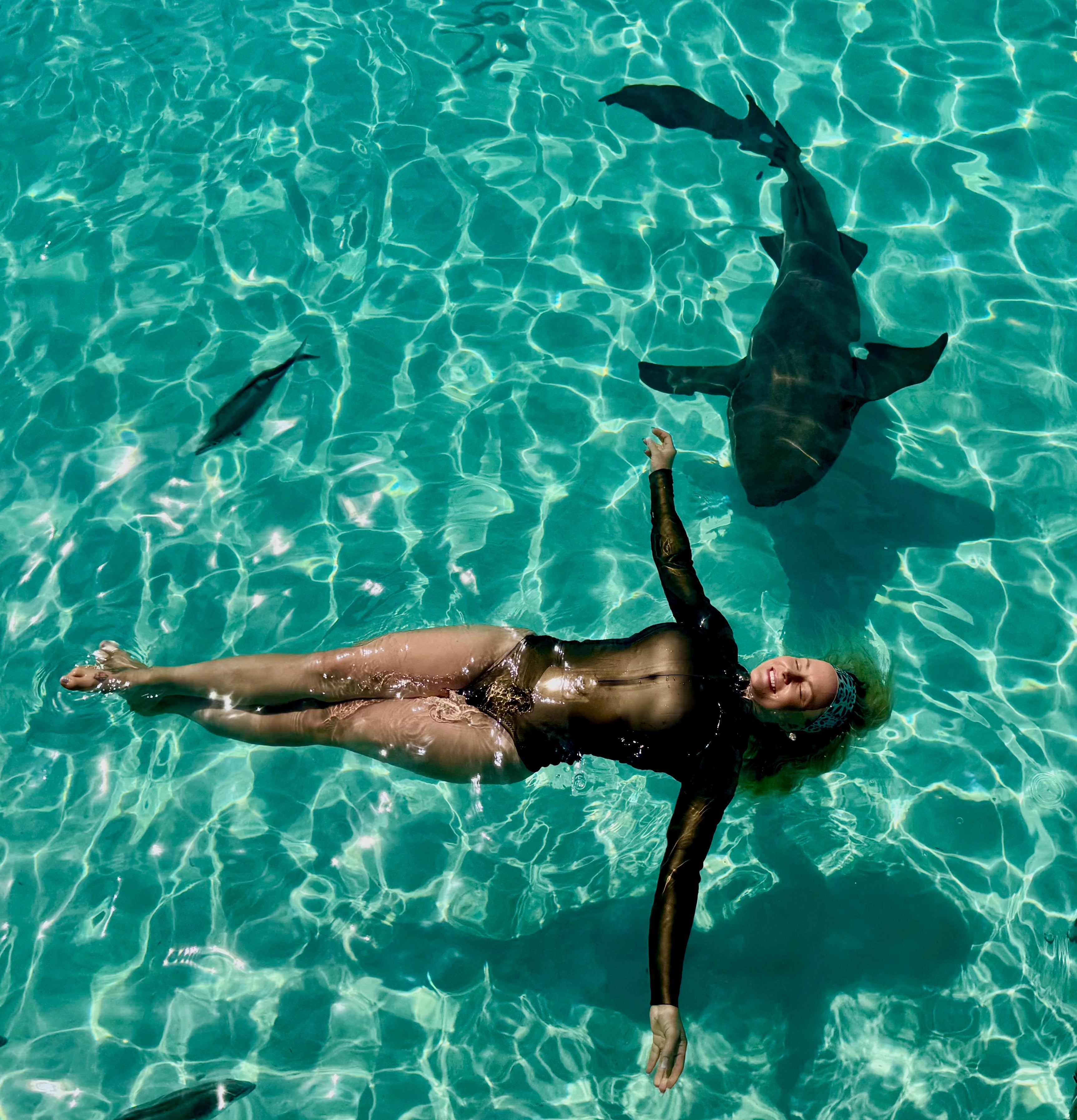 The Dive Collection – WAIHANA