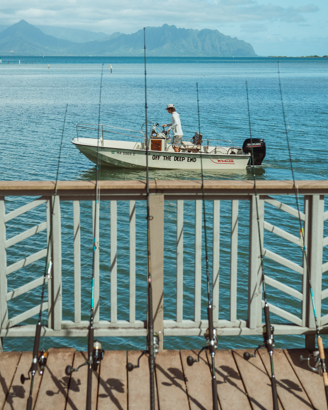 A Boston Whaler motorboat named &