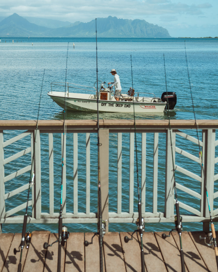A Boston Whaler motorboat named &
