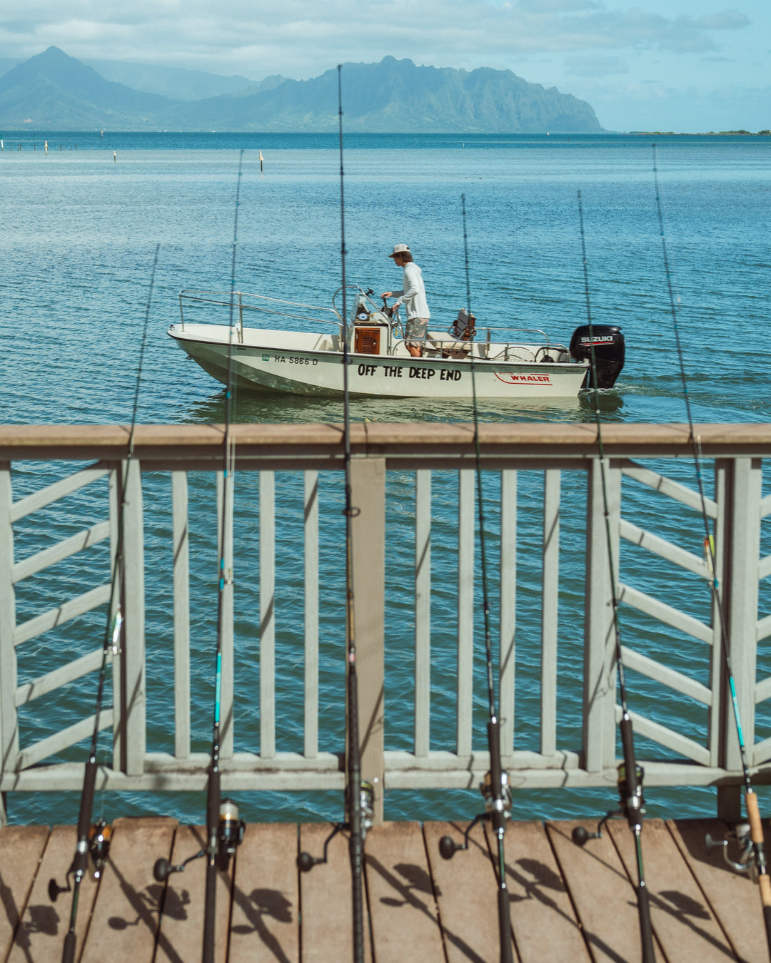 A Boston Whaler motorboat named &