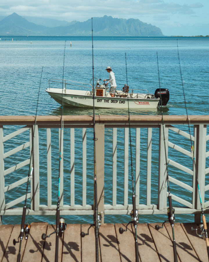 A Boston Whaler motorboat named &