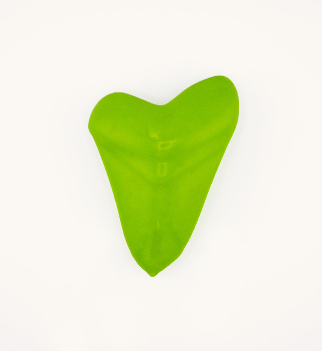 2lb Shark Tooth - Electric Reef – WAIHANA