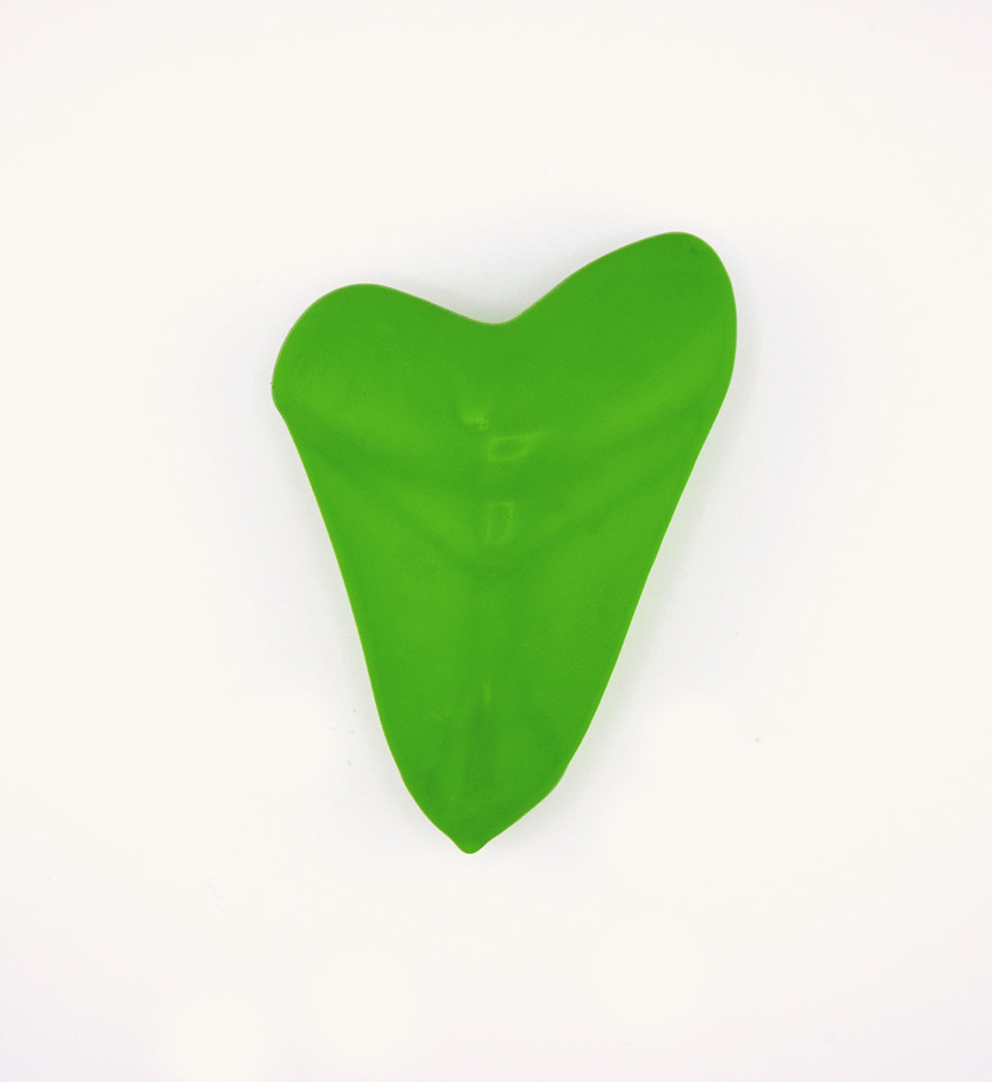 2lb Shark Tooth - Everglades – WAIHANA